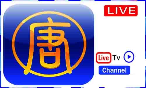 New Tang Dynasty TV Live From USA