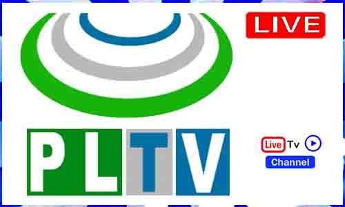 Watch Puntland TV Live TV Channel 